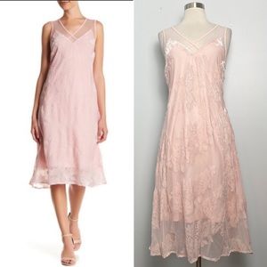 NWT Spirit of Grace {Nordstrom} Pink Blush Floral Velvet Burnout Dress Women's S